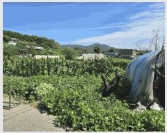  2025Ÿ��12127  ���ð��