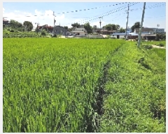  2025Ÿ��12127  �����