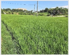  2025Ÿ��12127  �����