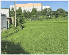  2025Ÿ��12127  ���ð��