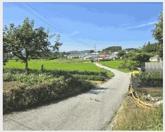  2025Ÿ��12127  ���ð��