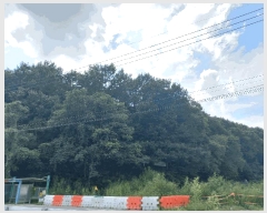  2025Ÿ��12247 �泲 õ�Ƚ� ������ ��õ�� ������ ��34-56     ����(�Ӿ�)���