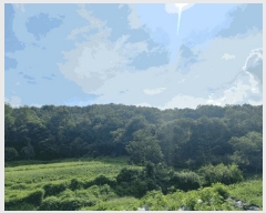  2025Ÿ��12247 �泲 õ�Ƚ� ������ ��õ�� ������ ��34-56     ����(�Ӿ�)���