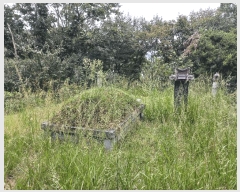  2025Ÿ��12247 �泲 õ�Ƚ� ������ ��õ�� ������ ��34-56     ����(�Ӿ�)���