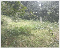  2025Ÿ��12247 �泲 õ�Ƚ� ������ ��õ�� ������ ��34-56     ����(�Ӿ�)���