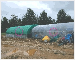  2025Ÿ��12255 �泲 �ƻ�� ������ ������ 174-1      ����(��)���