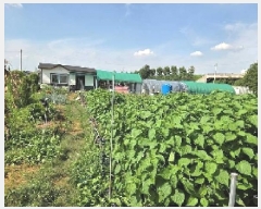  2025Ÿ��12255 �泲 �ƻ�� ������ ������ 174-1      ����(��)���