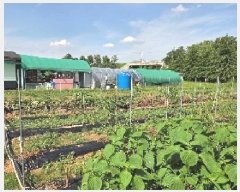  2025Ÿ��12255 �泲 �ƻ�� ������ ������ 174-1      ����(��)���