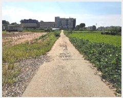  2025Ÿ��12255 �泲 �ƻ�� ������ ������ 174-1      ����(��)���