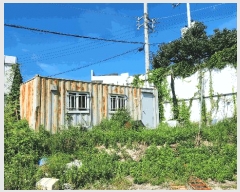  2025Ÿ��12314  ����