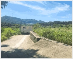  2025Ÿ��12353 �泲 �ƻ�� ������ ���̸� 19      ����(��)���