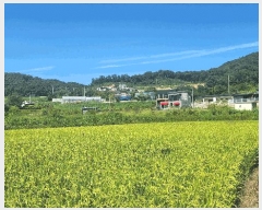  2025Ÿ��12353 �泲 �ƻ�� ������ ���̸� 19      ����(��)���