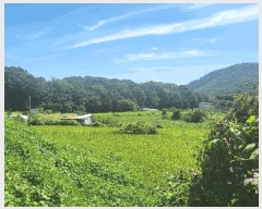  2025Ÿ��12353 �泲 �ƻ�� ������ ���̸� 19      ����(��)���