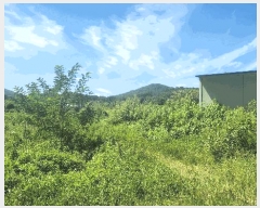  2025Ÿ��12353 �泲 �ƻ�� ������ ���̸� 19      ����(��)���