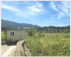  2025Ÿ��12353 �泲 �ƻ�� ������ ���̸� 19      ����(��)���