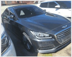  2025Ÿ��12373 �泲 õ�Ƚ� ������ ���Ÿ� �찢��� 21     �������