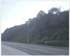  2025Ÿ��12447 �泲 õ�Ƚ� ������ ��õ�� �Ｚ�� ��67-2     ����(�Ӿ�)���