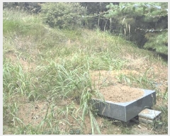  2025Ÿ��12447 �泲 õ�Ƚ� ������ ��õ�� �Ｚ�� ��67-2     ����(�Ӿ�)���