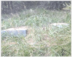  2025Ÿ��12447 �泲 õ�Ƚ� ������ ��õ�� �Ｚ�� ��67-2     ����(�Ӿ�)���