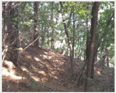  2025Ÿ��12447 �泲 õ�Ƚ� ������ ��õ�� �Ｚ�� ��67-2     ����(�Ӿ�)���