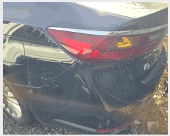  2025Ÿ��12460  �������