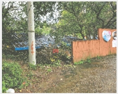  2025Ÿ��12547  �������