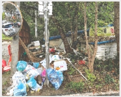  2025Ÿ��12547  �������