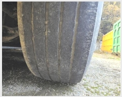  2025Ÿ��12557  �������