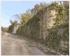  2025Ÿ��12582  �Ӿ߰��