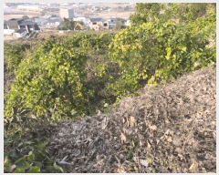  2025Ÿ��12582  �Ӿ߰��