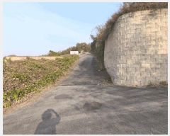  2025Ÿ��12582  �Ӿ߰��