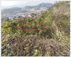  2025Ÿ��12582  �Ӿ߰��