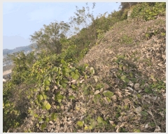  2025Ÿ��12582  �Ӿ߰��