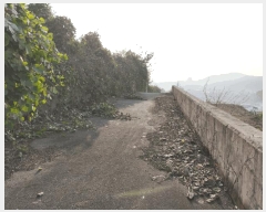  2025Ÿ��12582  �Ӿ߰��