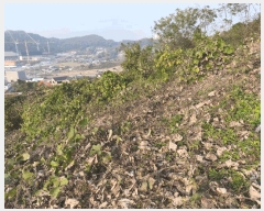  2025Ÿ��12582  �Ӿ߰��