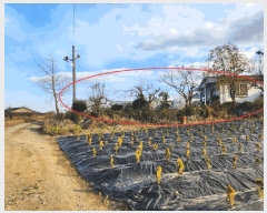  2025Ÿ��12620 �泲 �ƻ�� ���θ� �ź��� 457-2      ���ð��