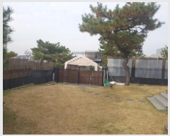  2025Ÿ��12653  ���ð��