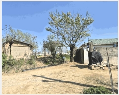  2025Ÿ451 泲 ƻ â  21-1      (Ӿ)