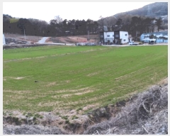  2025Ÿ��458 �泲 �ƻ�� ���θ� �ź��� ��48-1      ����(�Ӿ�)���