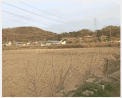  2025Ÿ��458 �泲 �ƻ�� ���θ� �ź��� ��48-1      ����(�Ӿ�)���