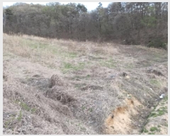  2025Ÿ��458 �泲 �ƻ�� ���θ� �ź��� ��48-1      ����(�Ӿ�)���