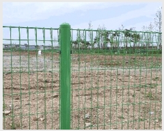  2025Ÿ��469  �������