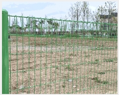  2025Ÿ��469  �������