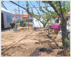  2025Ÿ479 泲 õȽ ϱ ȯ ȯ 88-13     ()