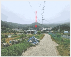  2025Ÿ��487 �泲 �ƻ�� ���θ� ���� 115-1      ���ð��