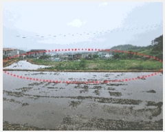  2025Ÿ��487 �泲 �ƻ�� ���θ� ���� 115-1      ���ð��