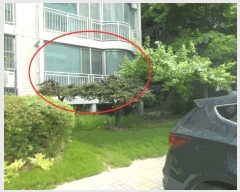  2025Ÿ��513 �泲 õ�Ƚ� ���ϱ� �ֿ뵿 1914 �ְ�����Ʈ 405�� 1��101ȣ   ����Ʈ���