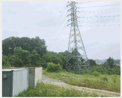  2025Ÿ��514  �Ӿ߰��