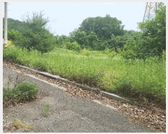  2025Ÿ��514  �Ӿ߰��