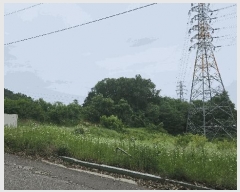  2025Ÿ��514  �Ӿ߰��